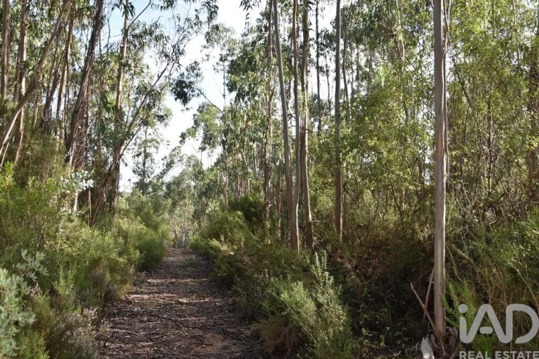 Terreno para Venda em Sabacheira Foto 30