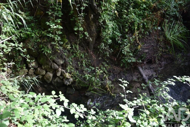 Terreno para Venda em Sabacheira Foto 22