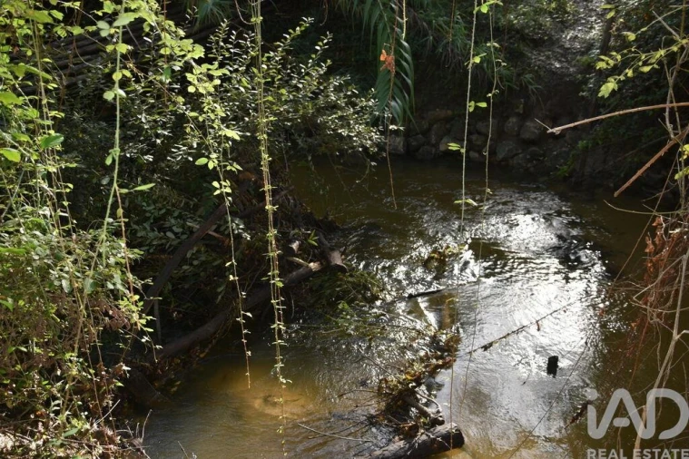 Terreno para Venda em Sabacheira Foto 5