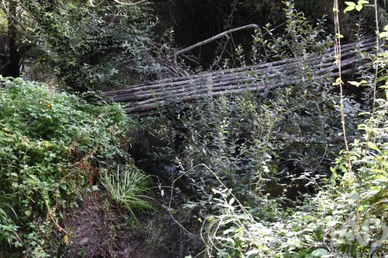 Terreno para Venda em Sabacheira Foto 31