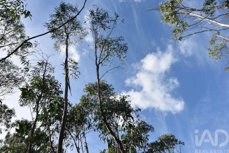 Terreno para Venda em Sabacheira Foto 16