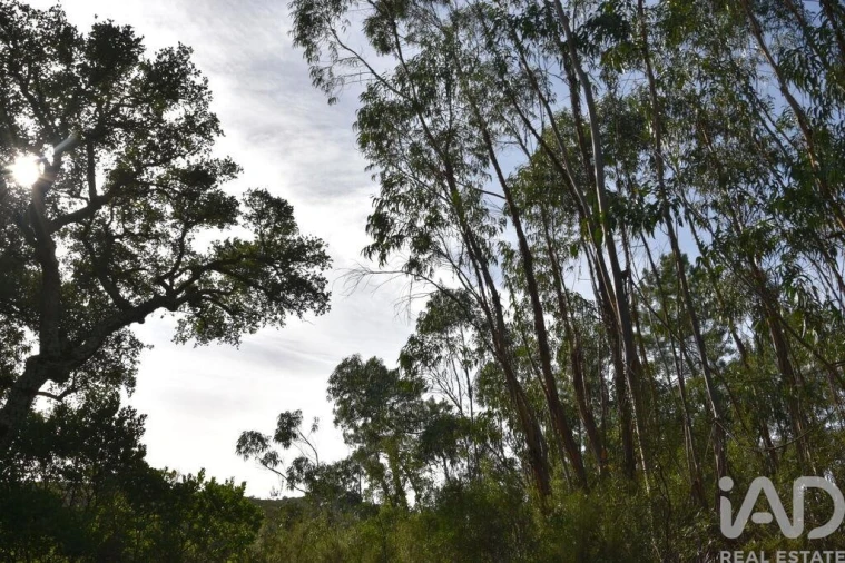 Terreno para Venda em Sabacheira Foto 26