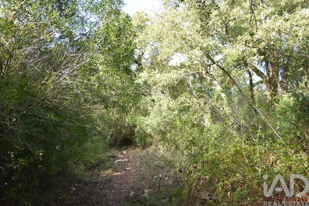 Terreno para Venda em Sabacheira Foto 21