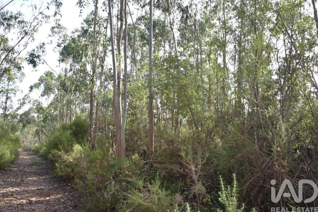 Terreno para Venda em Sabacheira Foto 8