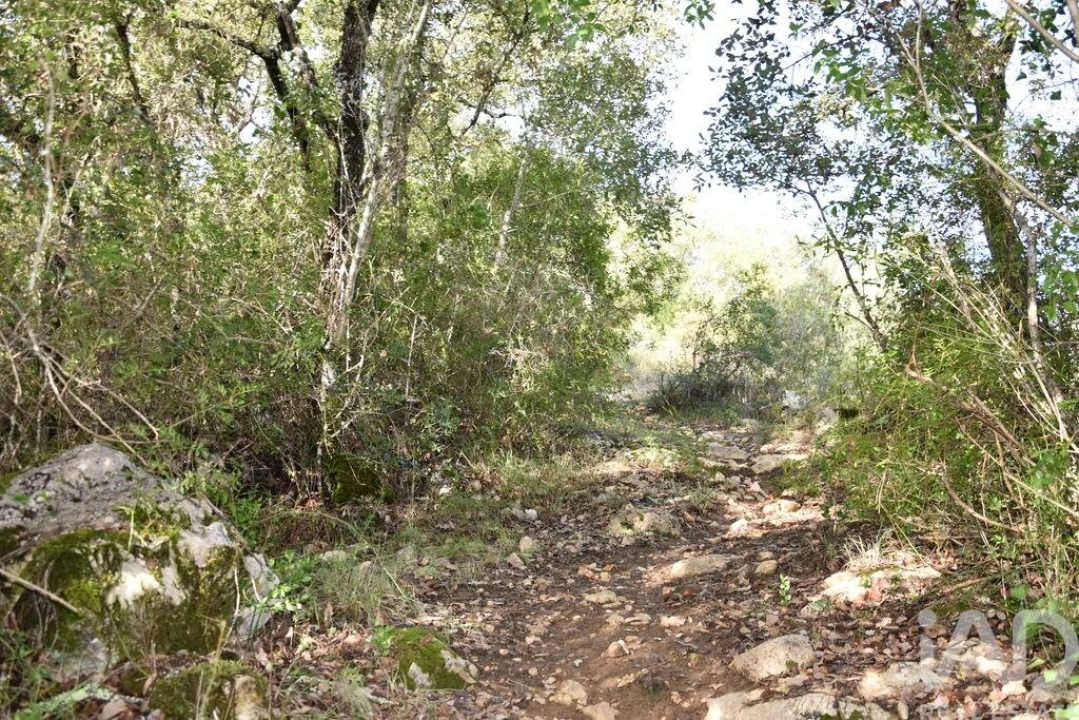 Terreno para Venda em Sabacheira Foto 35