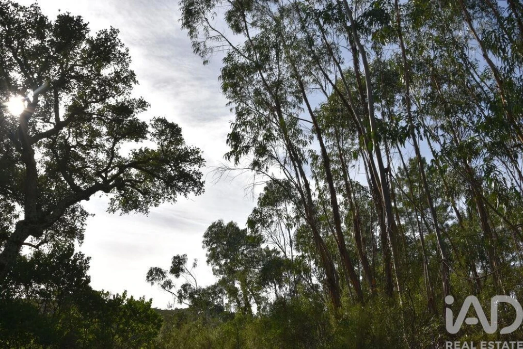 Terreno para Venda em Sabacheira Foto 26