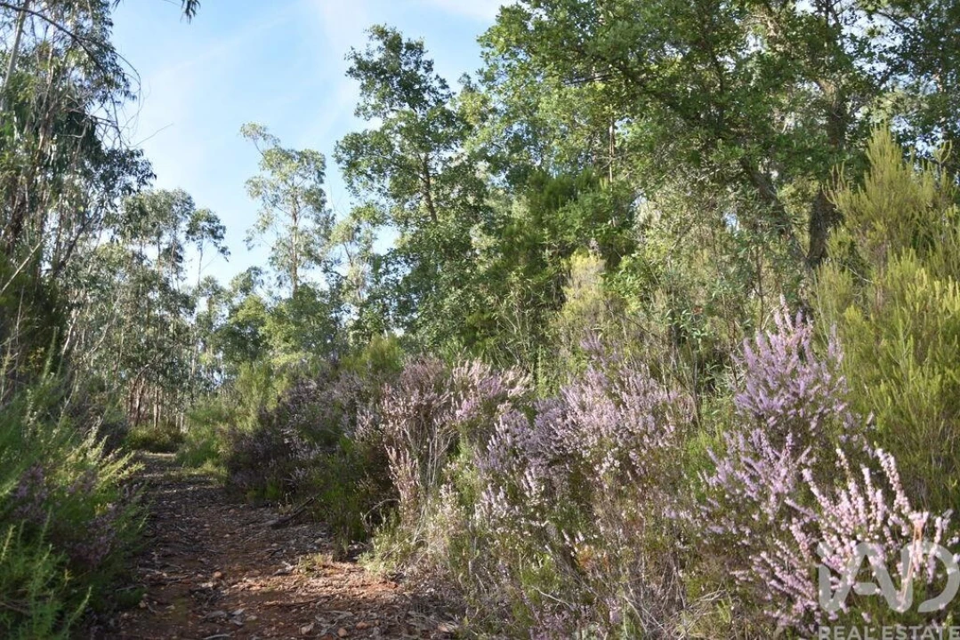 Terreno para Venda em Sabacheira Foto 34