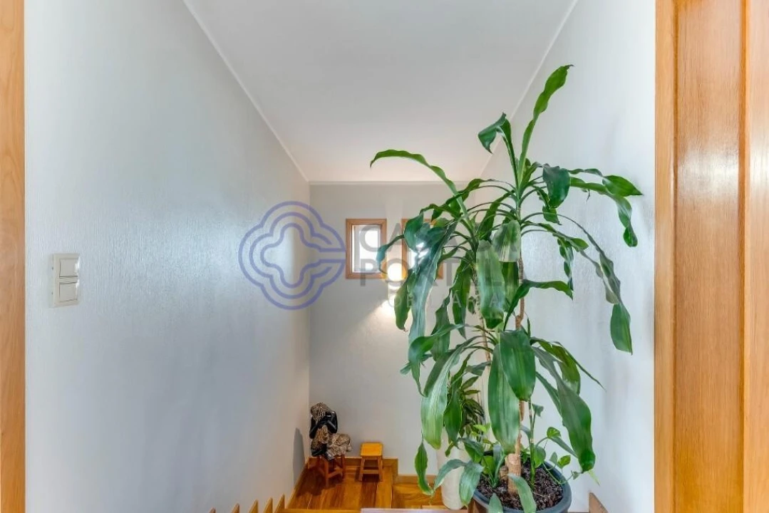 Moradia T3 para Venda em Arvore Foto 43