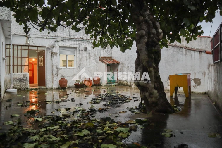 Moradia T3 para Venda em Cebolais de Cima e Retaxo Foto 17