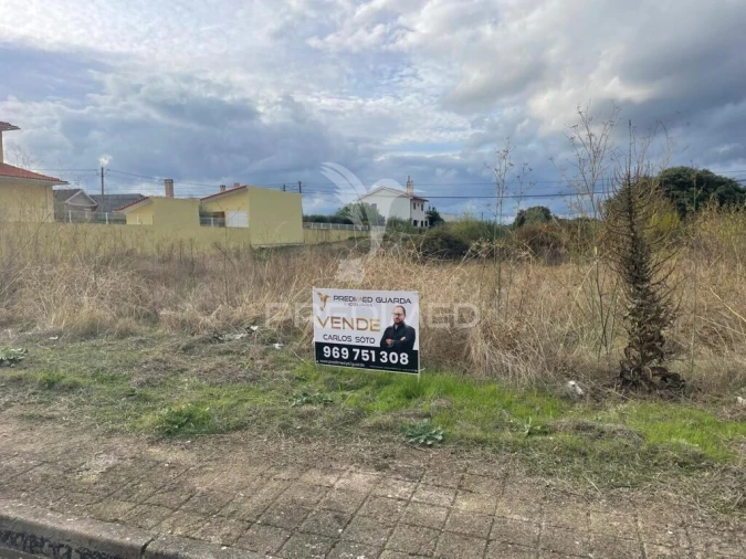 Terreno para Venda em Freixo de Numão Foto 5