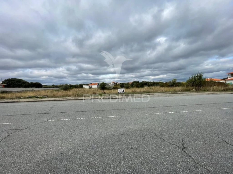 Terreno para Venda em Freixo de Numão Foto 6