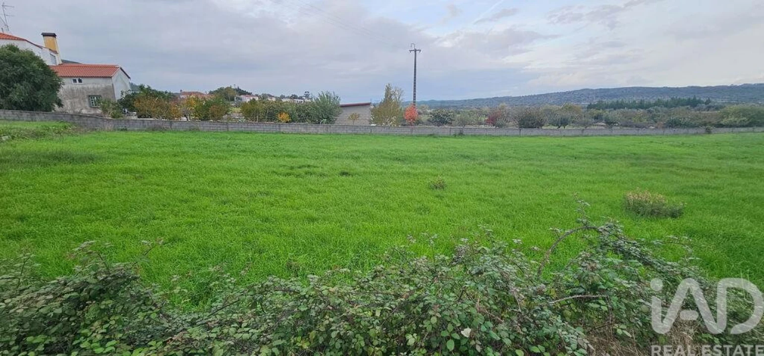 Terreno para Venda em São Miguel, Santa Eufémia e Rabaçal Foto 4