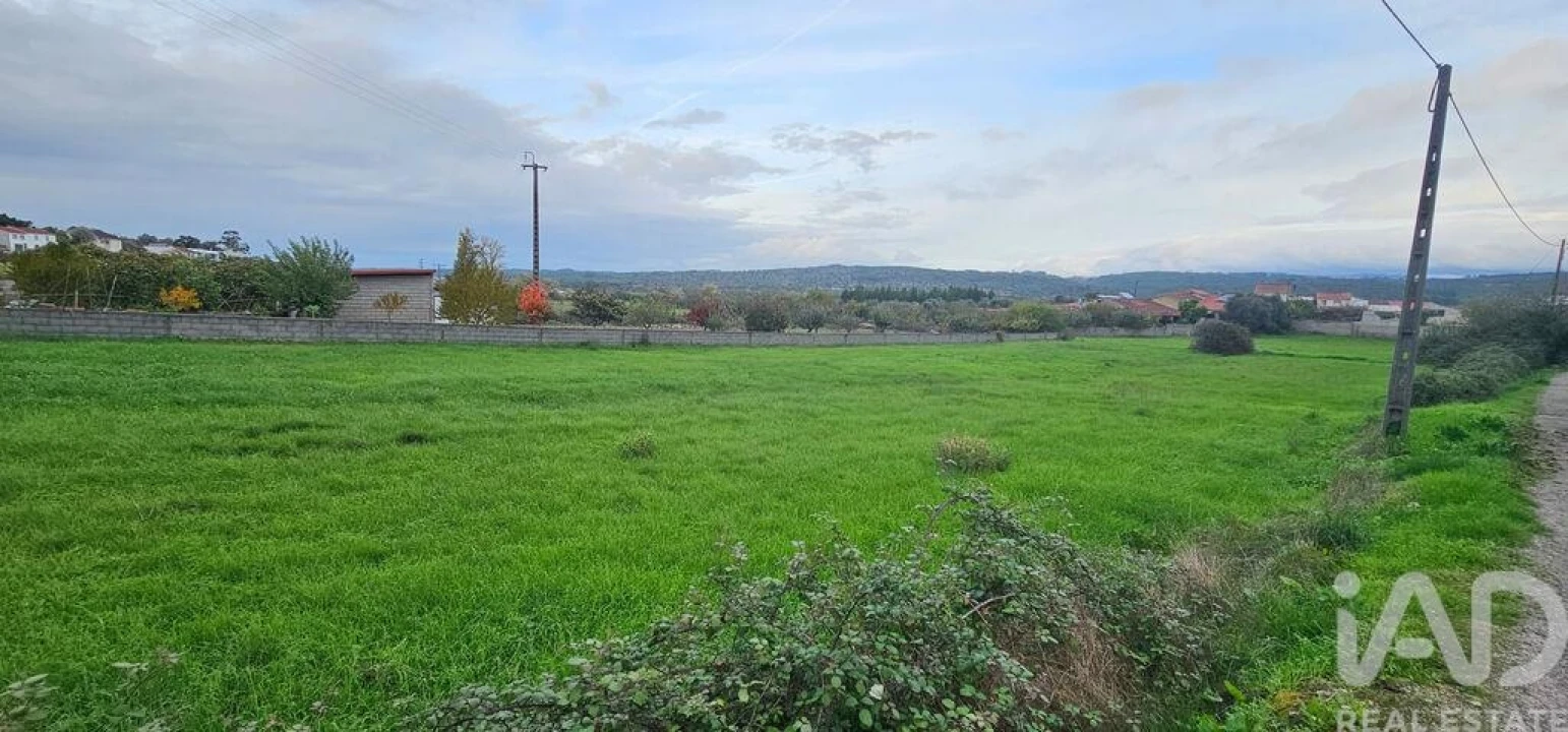 Terreno para Venda em São Miguel, Santa Eufémia e Rabaçal Foto 5