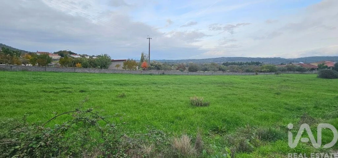 Terreno para Venda em São Miguel, Santa Eufémia e Rabaçal Foto 7