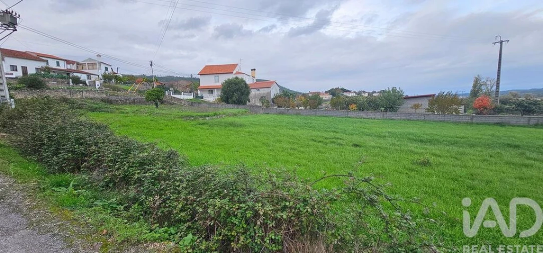 Terreno para Venda em São Miguel, Santa Eufémia e Rabaçal Foto 6