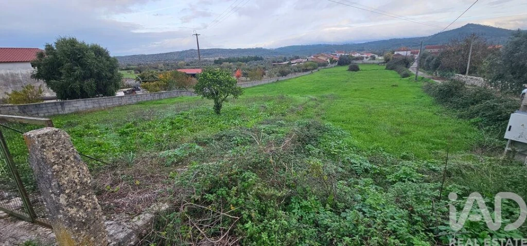 Terreno para Venda em São Miguel, Santa Eufémia e Rabaçal Foto 12
