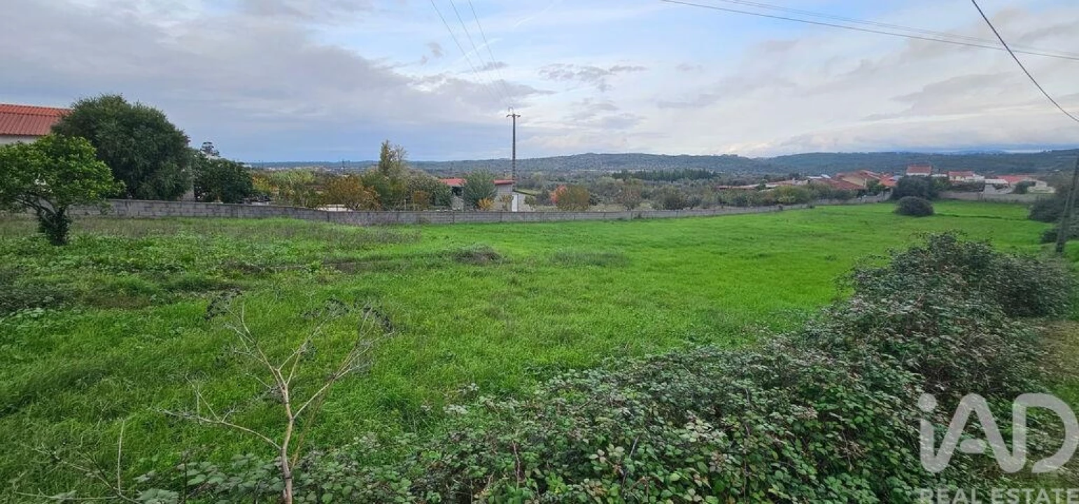 Terreno para Venda em São Miguel, Santa Eufémia e Rabaçal Foto 2