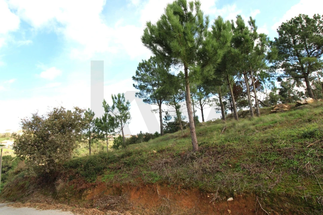Terreno para Venda em Mafra Foto 27