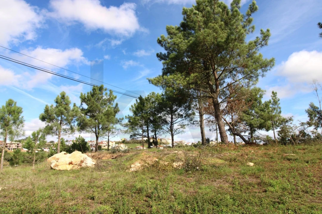 Terreno para Venda em Mafra Foto 1