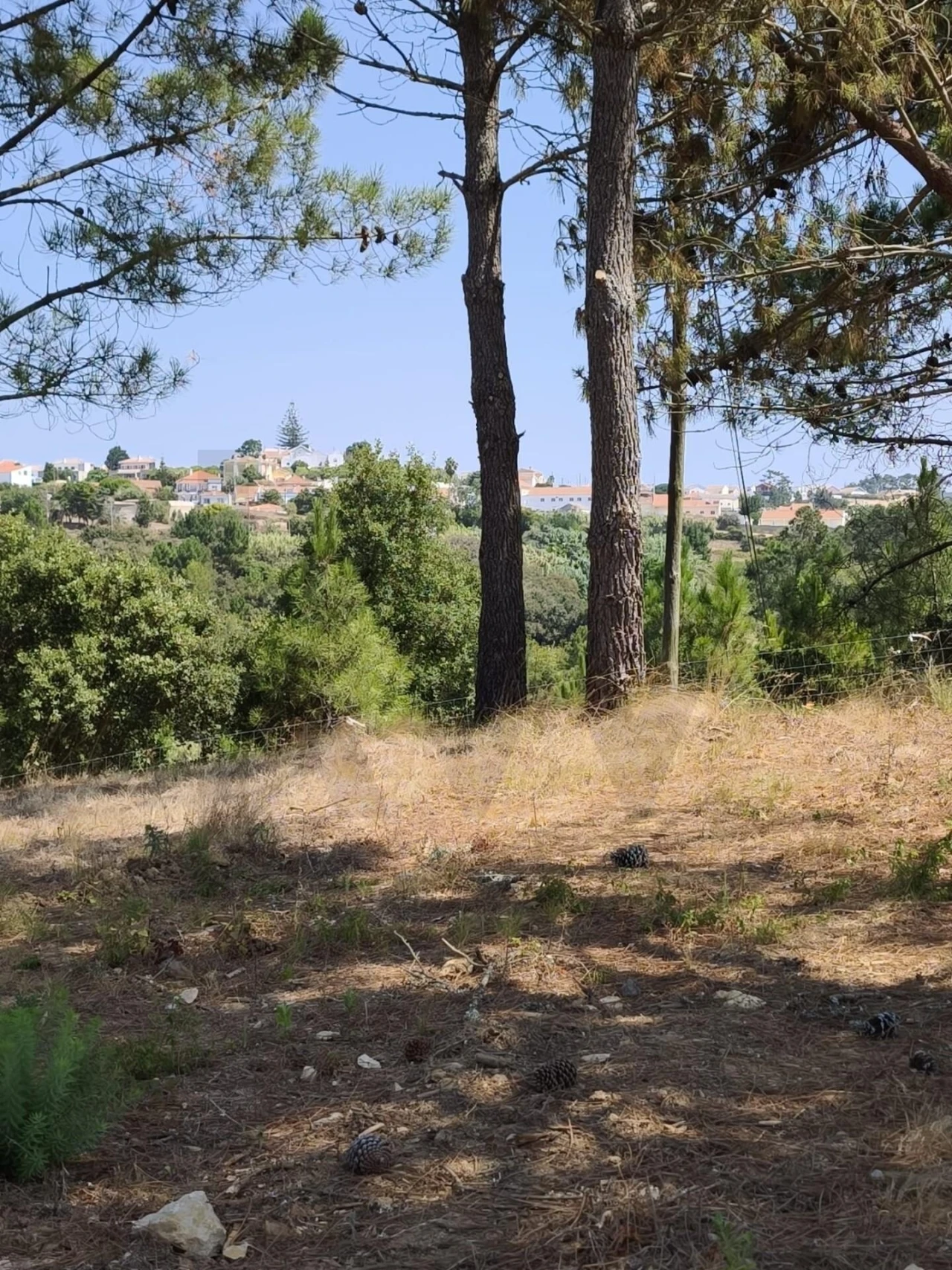 Terreno para Venda em Mafra Foto 16