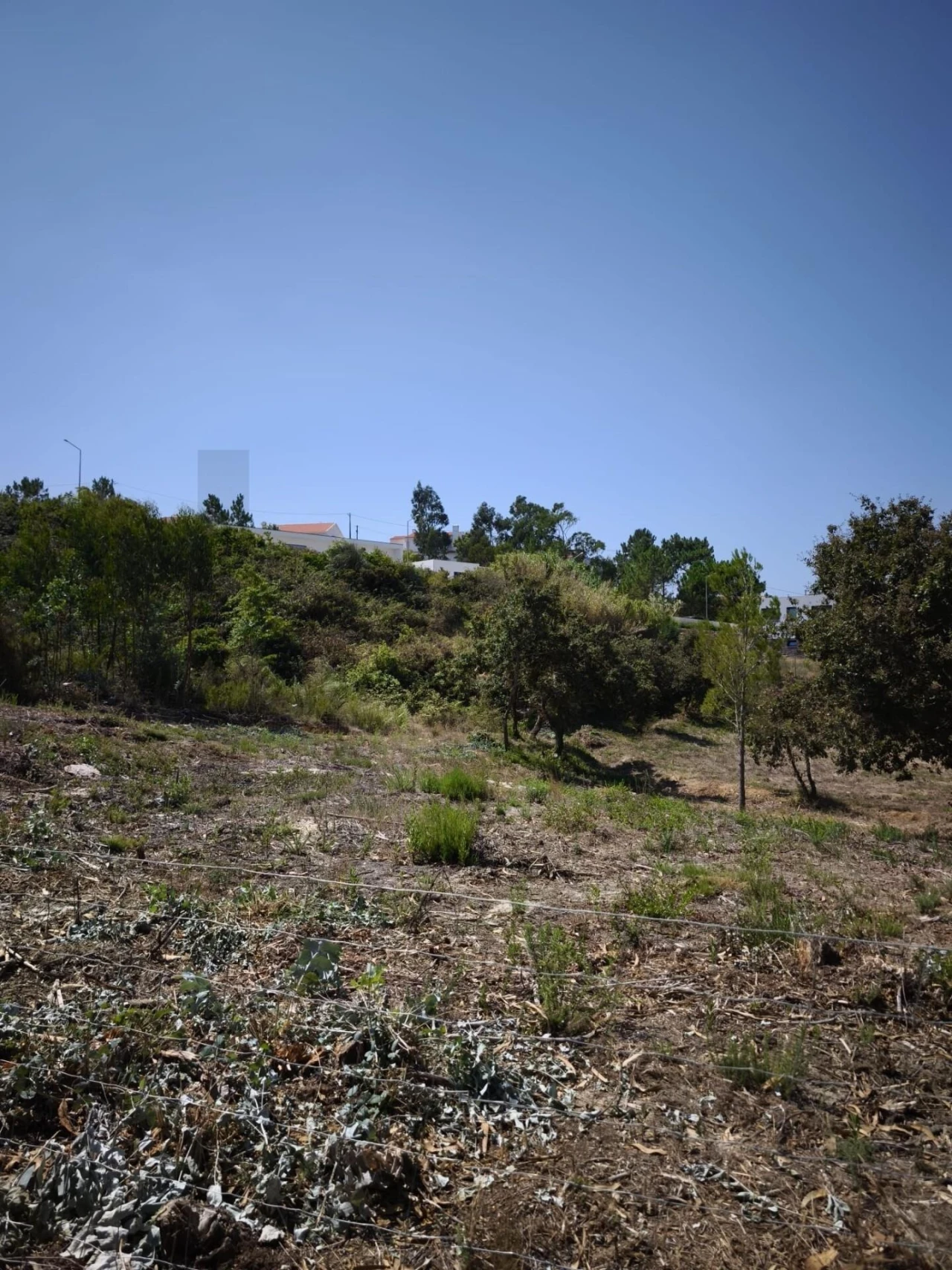 Terreno para Venda em Mafra Foto 14