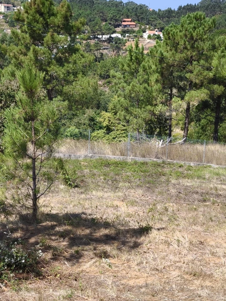 Terreno para Venda em Mafra Foto 18