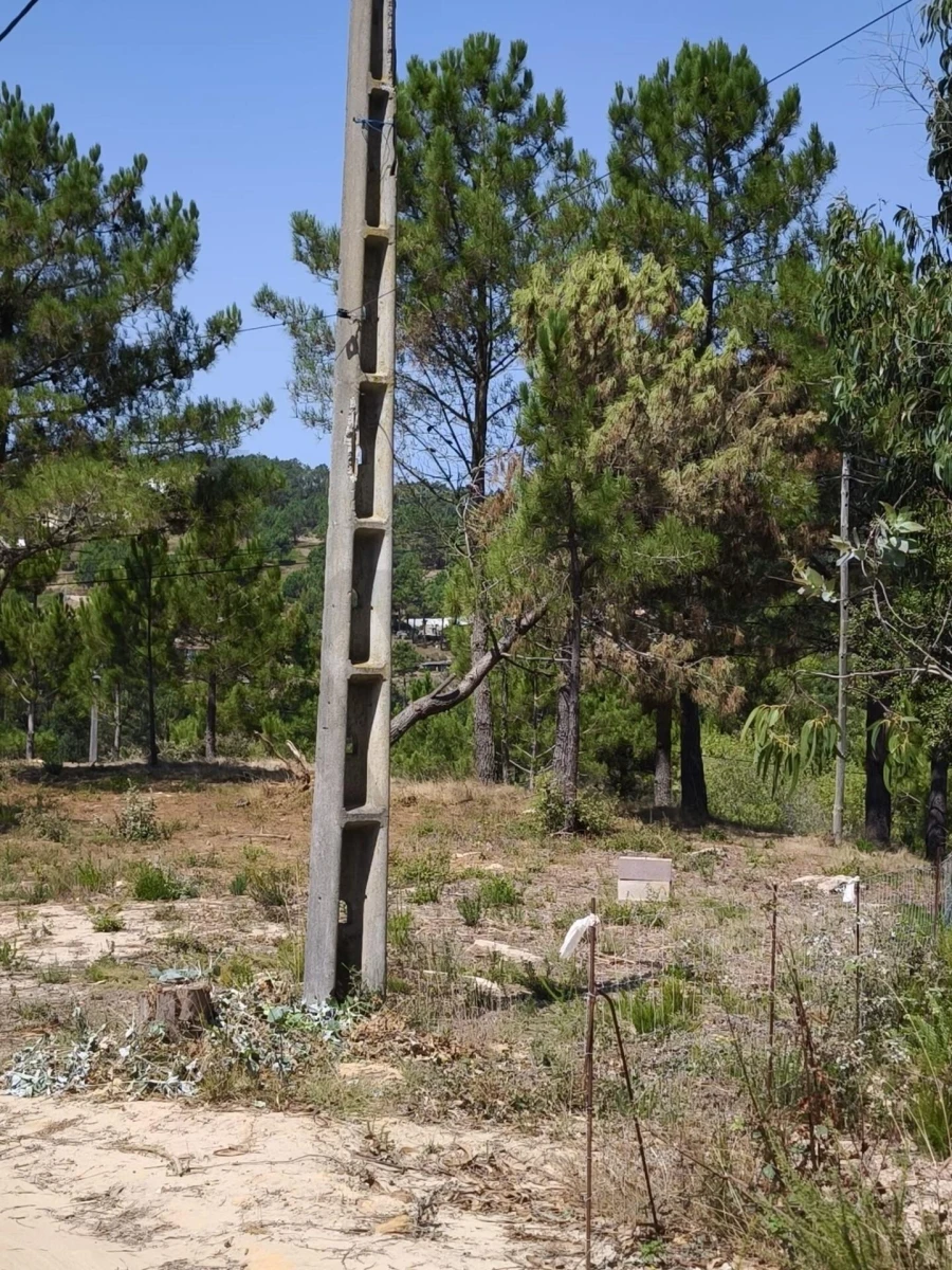 Terreno para Venda em Mafra Foto 13