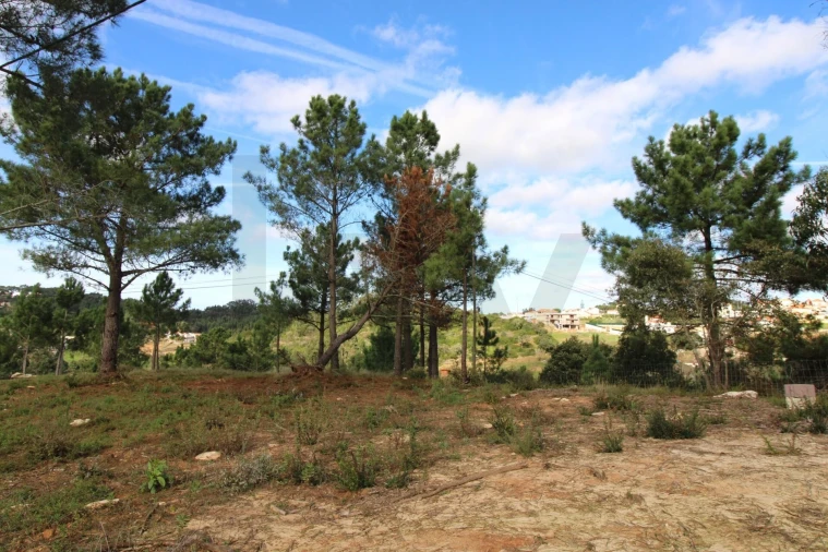Terreno para Venda em Mafra Foto 2