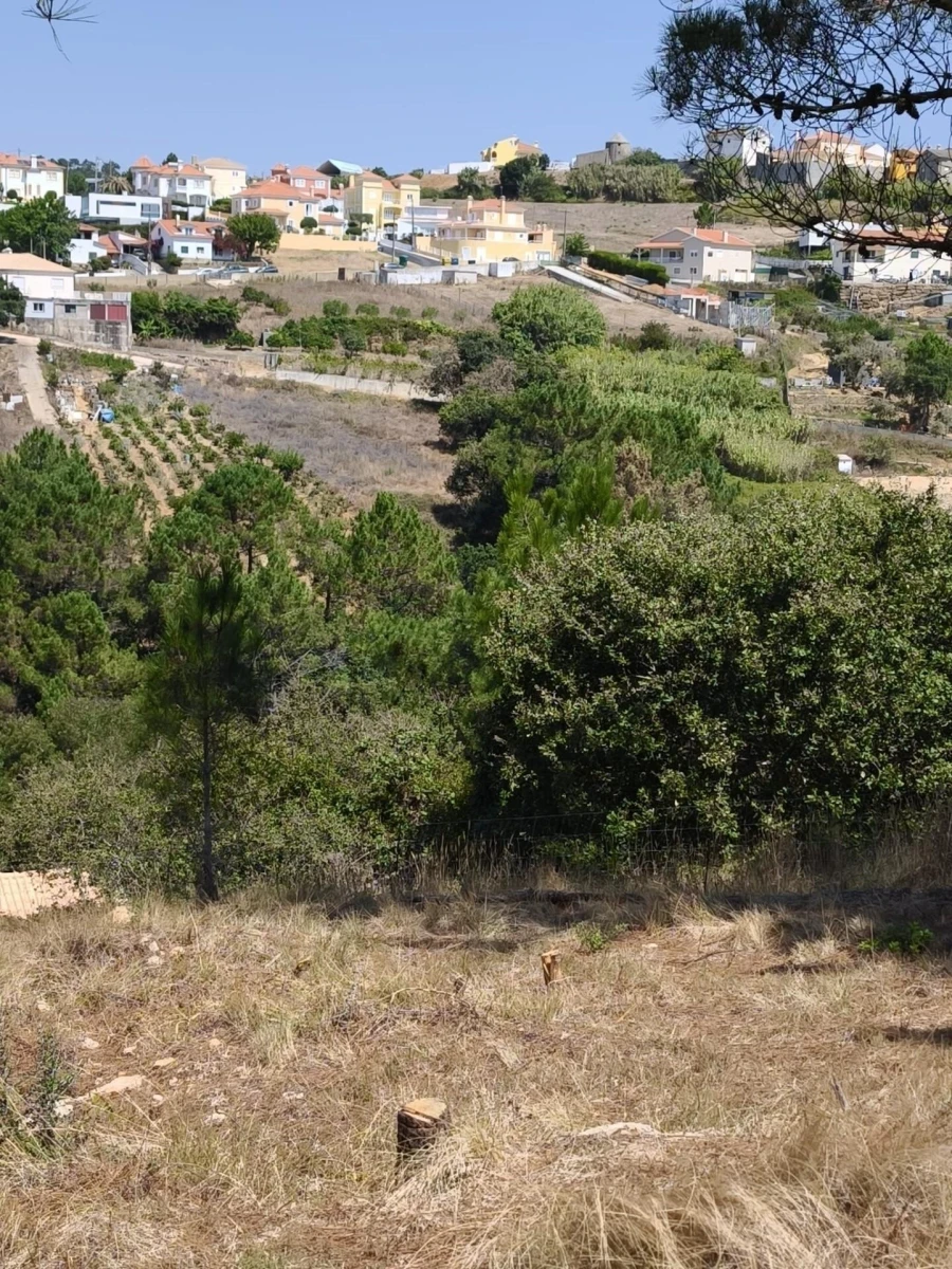 Terreno para Venda em Mafra Foto 9