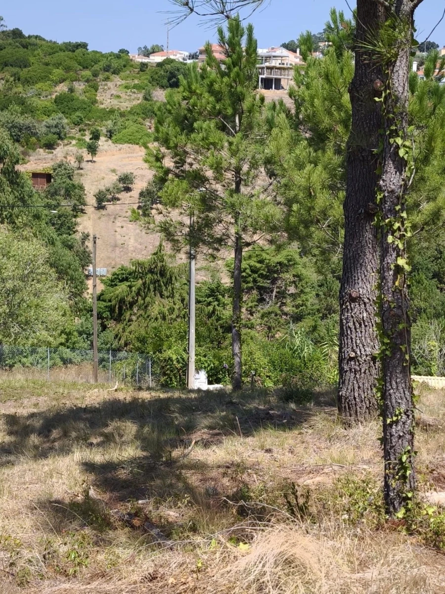 Terreno para Venda em Mafra Foto 19