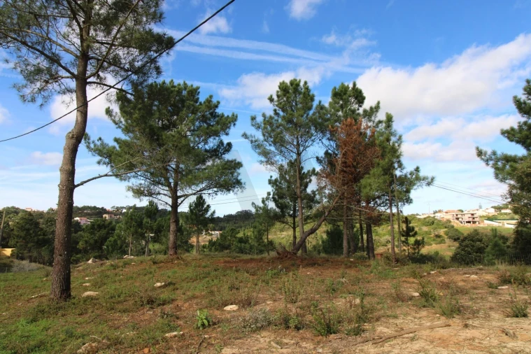 Terreno para Venda em Mafra Foto 25