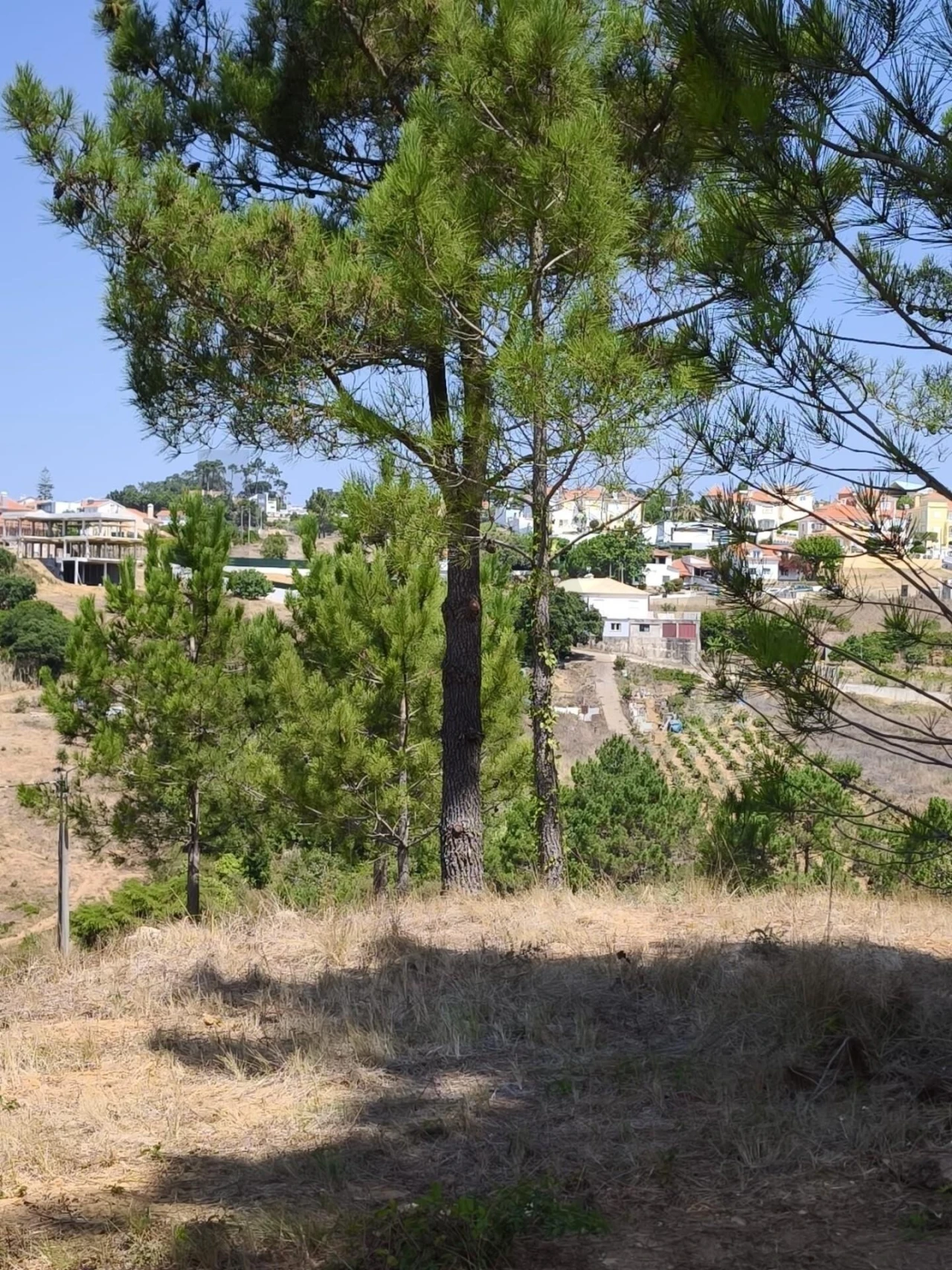 Terreno para Venda em Mafra Foto 15