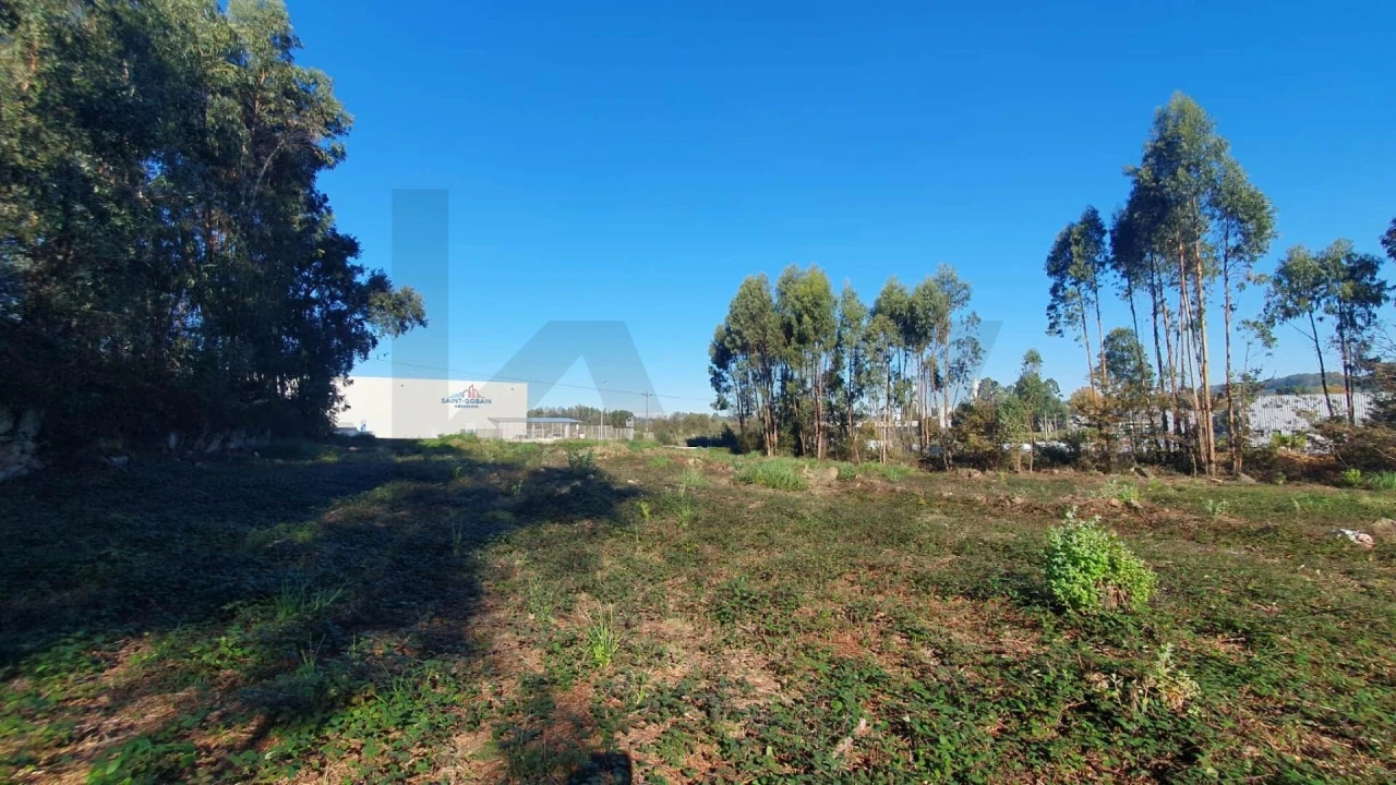 Terreno para Venda em Folgosa Foto 3