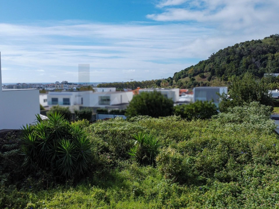 Terreno para Venda em Fajã de Baixo Foto 13