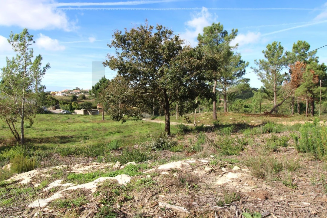 Terreno para Venda em Mafra Foto 7