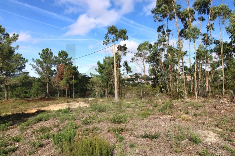 Terreno para Venda em Mafra Foto 5