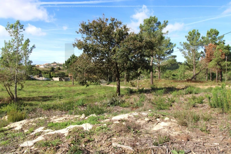 Terreno para Venda em Mafra Foto 7