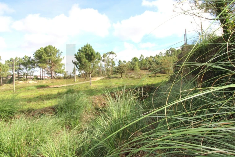 Terreno para Venda em Mafra