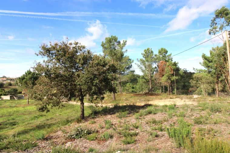 Terreno para Venda em Mafra Foto 6