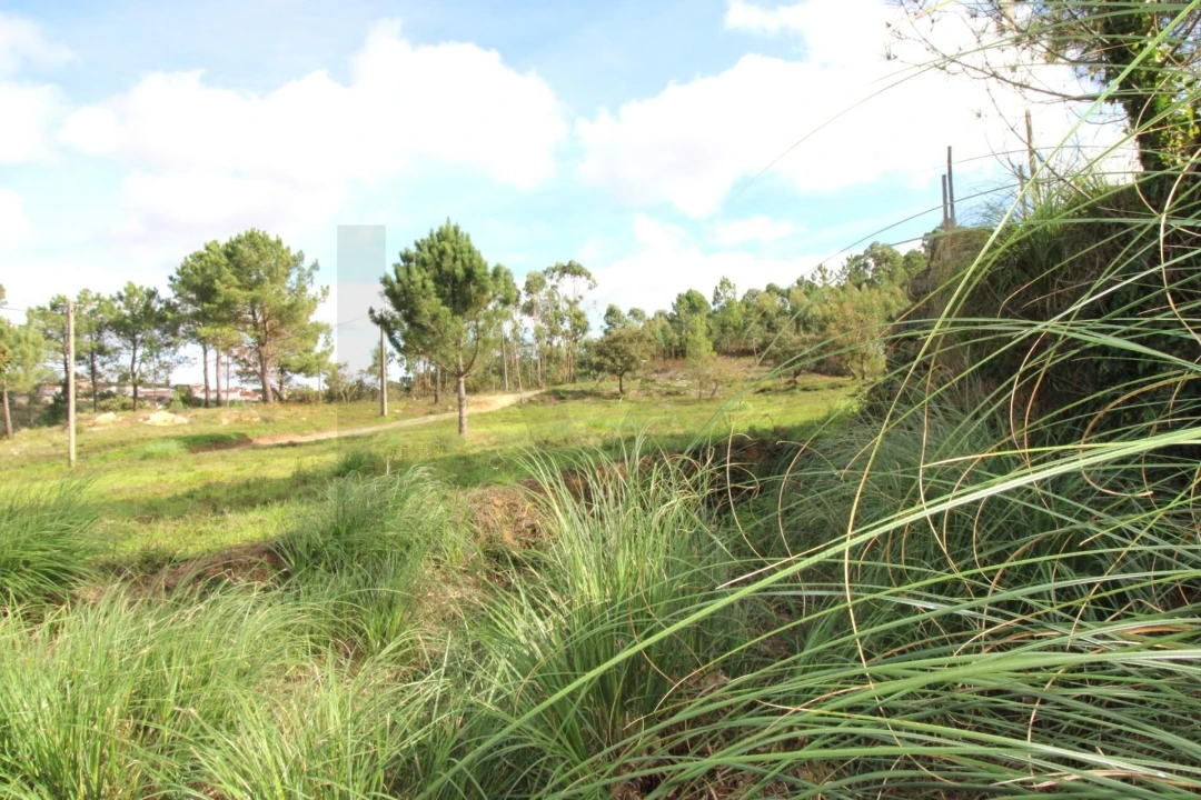 Terreno para Venda em Mafra Foto 1
