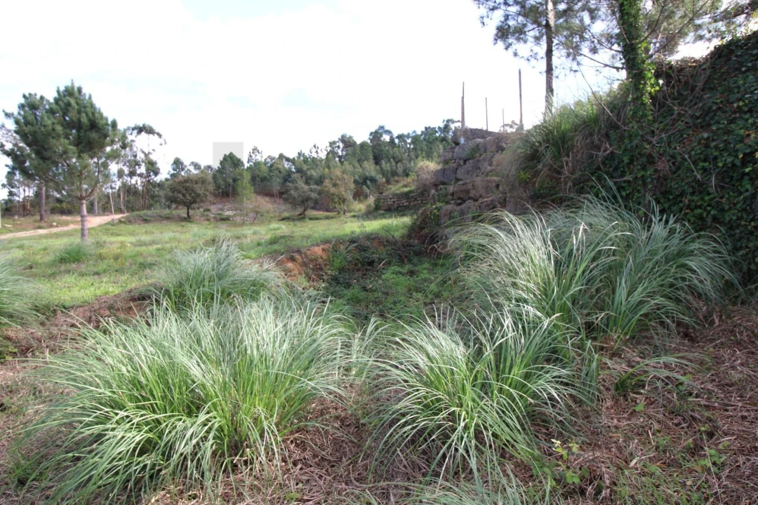 Terreno para Venda em Mafra Foto 9
