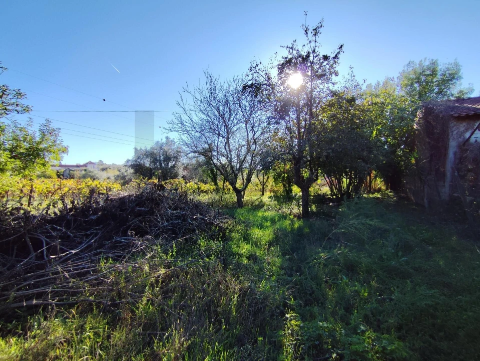 Moradia T4 para Venda em Arrifana Foto 32