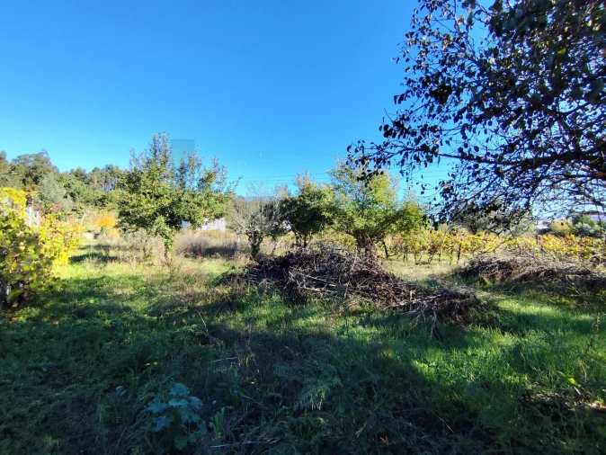 Moradia T4 para Venda em Arrifana Foto 31