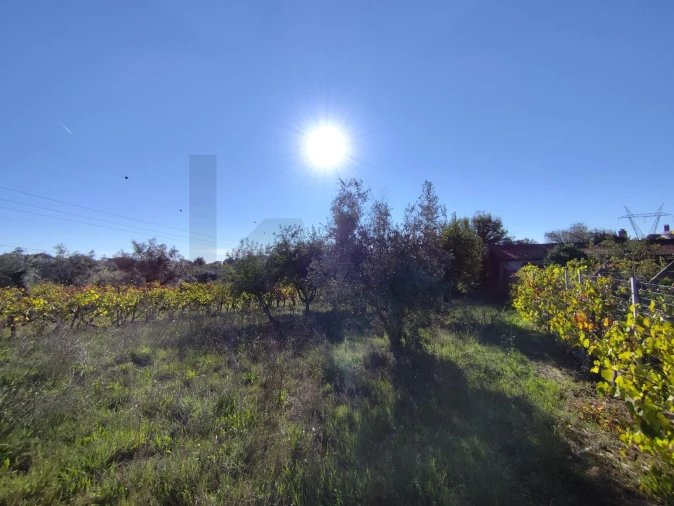 Moradia T4 para Venda em Arrifana Foto 33