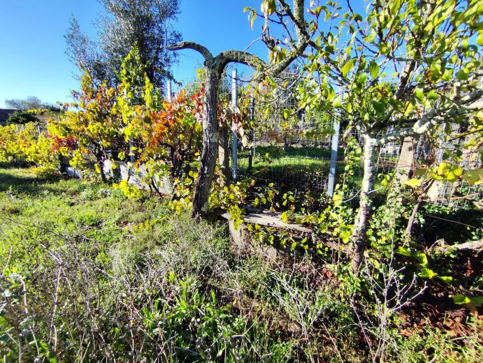 Moradia T4 para Venda em Arrifana Foto 34