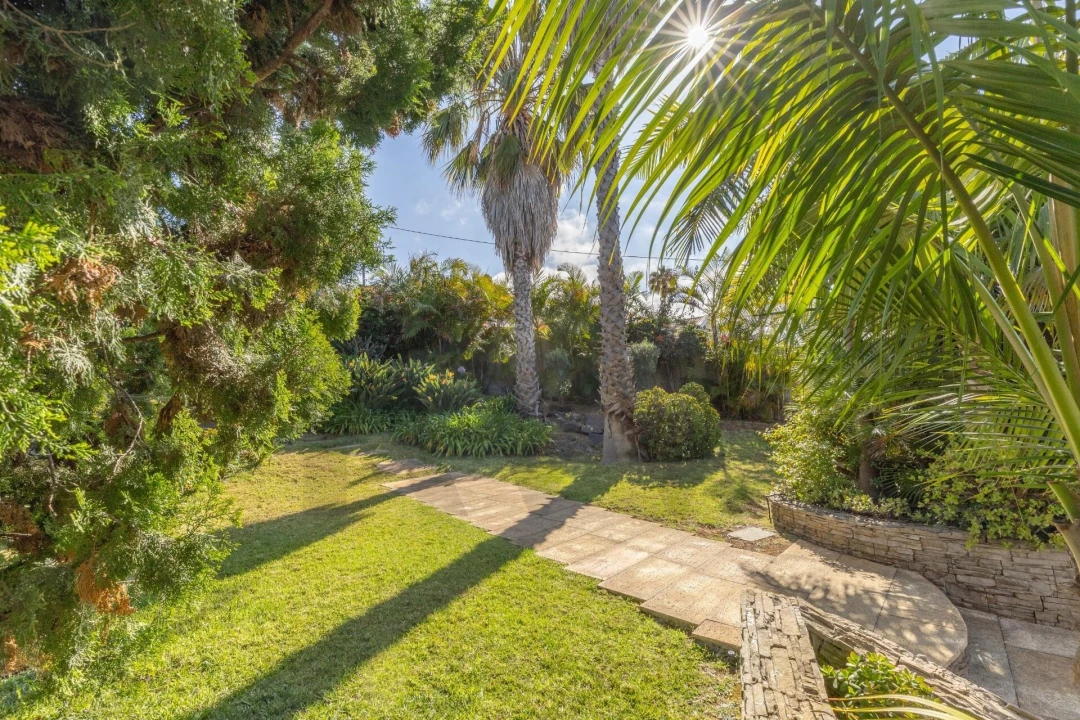 Quinta T3 para Venda em São Martinho Foto 11