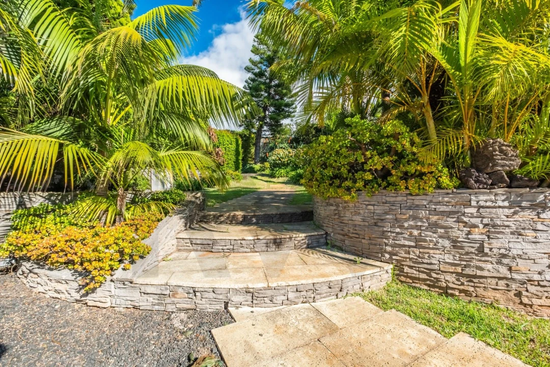 Quinta T3 para Venda em São Martinho Foto 4