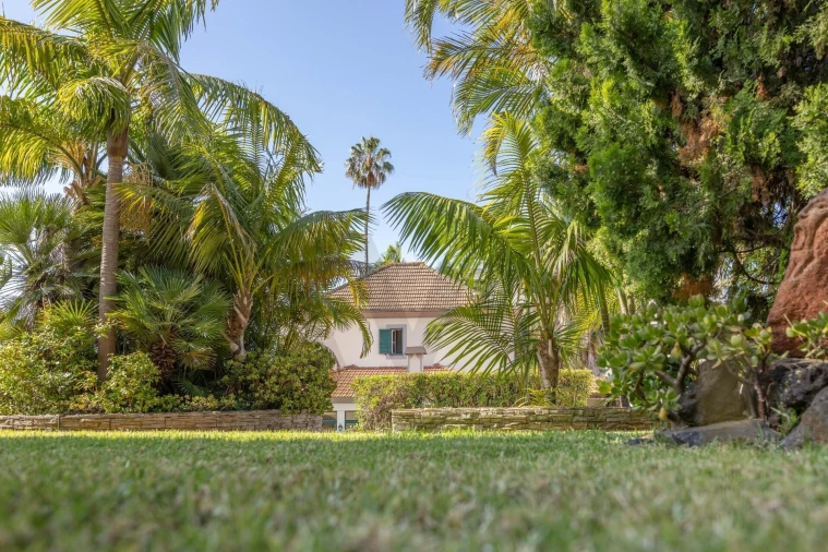 Quinta T3 para Venda em São Martinho Foto 11
