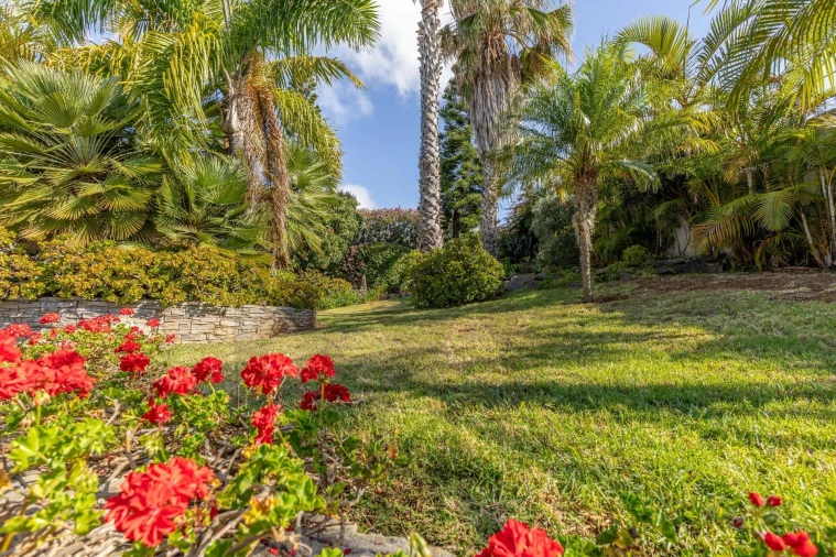 Quinta T3 para Venda em São Martinho Foto 4