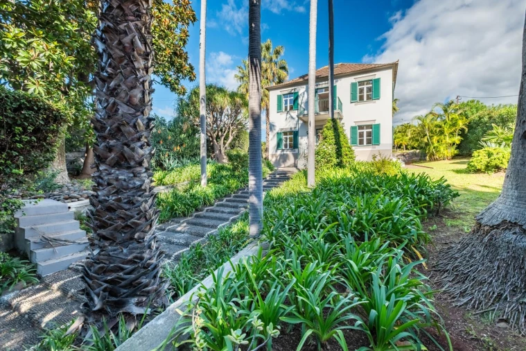 Quinta T3 para Venda em São Martinho Foto 38